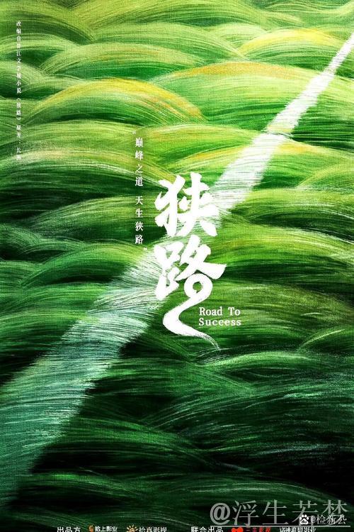 冰上追梦：马子惠的励志之路